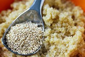 Photo of the pseudo grain called quinoa. Quinoa is a gluten-free food.
